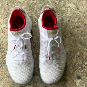 Nike Lebron James basketball shoes